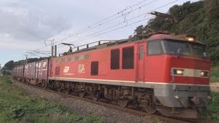 【ジョイント音！】高貨B4094レ　EF510-12牽引(HD)