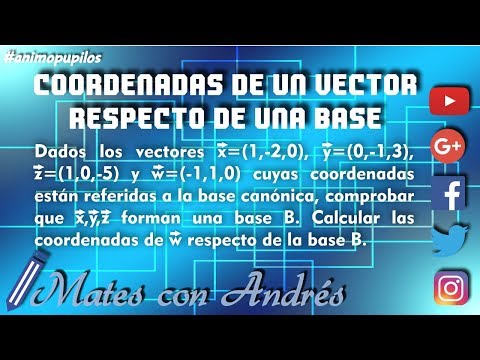 Vídeo: Com Trobar Les Coordenades D’un Vector En Una Base