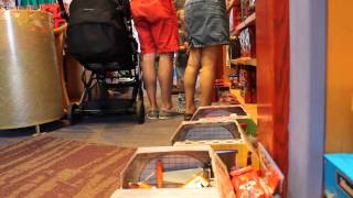 World of Disney WDW Down Town Disney - Autistic Toddler Lining up toys