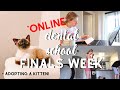 Dental School Finals ONLINE + Adopting a kitten!