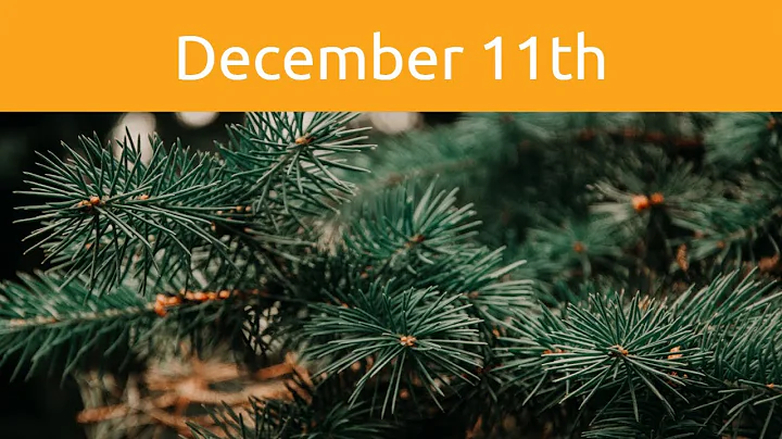 December 11th Third Sunday of Advent: Praise