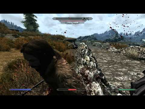 Video: PC-Benutzer Zum Betatest Des Skyrim 1.4-Updates Eingeladen