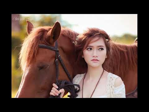 Video Vết thù trên lưng ngựa hoang - hòa tấu không lời hay... - youtube