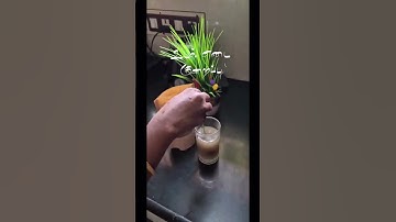 weight loss powder- body mass index bmi calculator use it