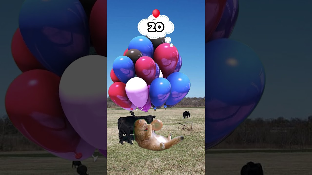 HOW MANY BALLOONS DOES IT NEED FOR A MR.CAT MEME TO FLY