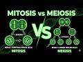 Mitosis vs Meiosis Explained 🔬 | Key Differences, Stages & Easy Comparison//Mitosis vs