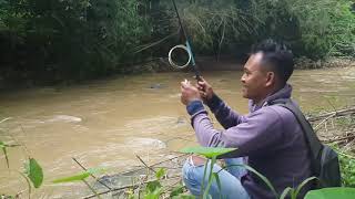 Download lagu tonton aja pasti pengen tonton aja pasti pengen