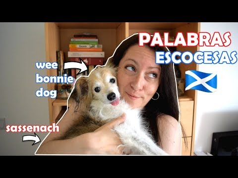Vídeo: Mini-guía Para Entender La Jerga Escocesa - Matador Network