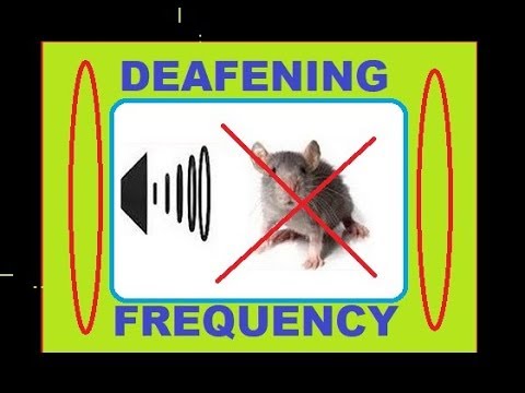 Sound to keep Mice away - Deafening frequency - YouTube