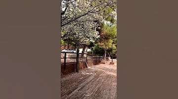 ما كان في القلب كيف العين تفقده 