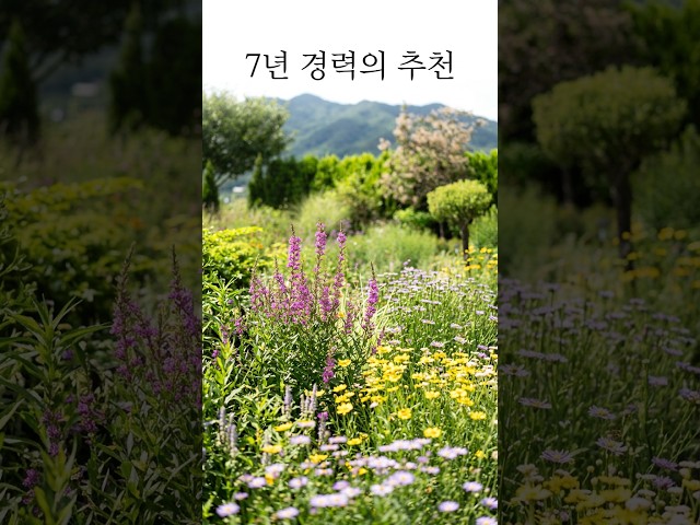 가뭄,폭염,여름정원 추천꽃(본영상에는 더 많은 정보가 있어요)