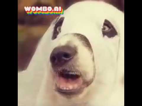 WOMBO.AI Sings Human