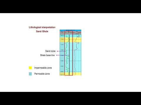Hydrocarbon reservoir descriptions using well logs