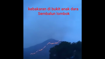 Kebakaran di bukit anak dara Sembalun lombok