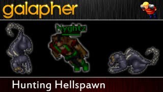 Celebrity Tibia Hunting Hellspawn with Nyghtz and Nomarap Profile