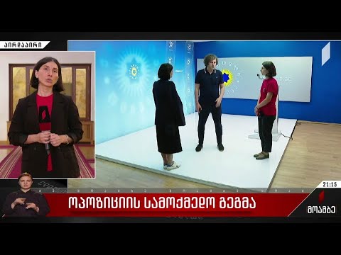 ოპოზიციის სამოქმედო გეგმა