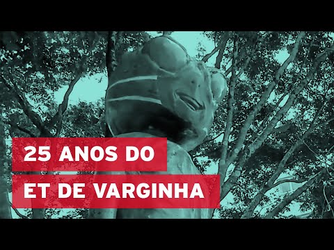 Vídeo: O Incidente Em Varginha Ou Como Os Alienígenas Andaram Por Uma Cidade Brasileira - Visão Alternativa