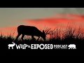Wild and Exposed Podcast