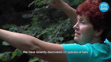 Karst Biosphere Reserve: protecting water resources and biodiversity