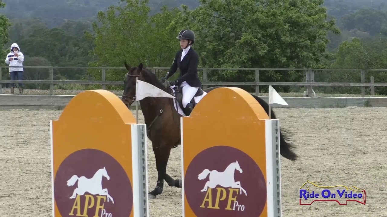 horseshoe bend 146S Zoey Greenwood on A Premier Cooley SR Training Show Jumping Woodside May 2019