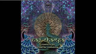 Chakraview vs Cosmic Brahma (Tolatol Mix) - Tapasya