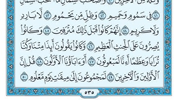 سورة الواقعة لفضيله الشيخ سالم عبده سالم