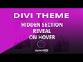 Divi Theme Hidden Section Reveal On Hover 👈