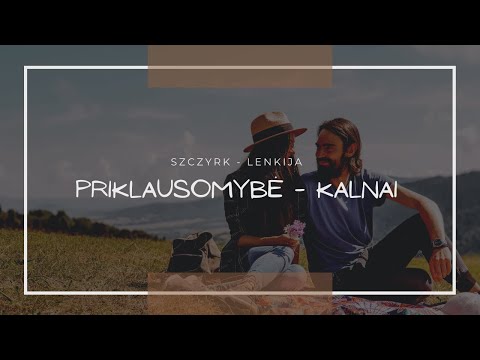 Video: Kelionė Oru Su Savo šunimi