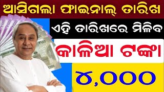 Kalia Yojana New update Today Odisha Kalia Yojana New List Odisha Naveen Patnaik New || NewsOdisha