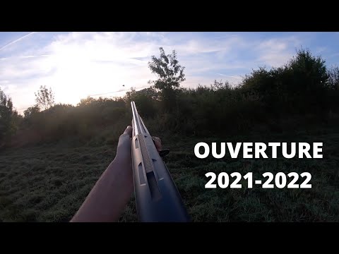 Vidéo: Comment Jouer à La Saison De La Chasse