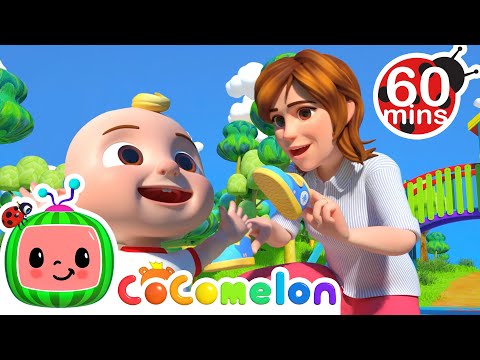 Yes Yes Playground Song 1 HOUR COMPILATION |  CoComelon Nursery Rhymes & Kids Songs