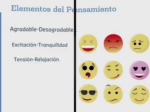 Video: ¿Qué es el voluntarismo en términos simples?