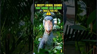 5 Creepy Animal Sounds That Sound Like Aliens! 🛸