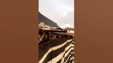 واتحب المطر وانت المطر ينزل يحاكيك و تحب العطر وانت العطر منك و منبعك 