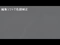 ソニー ハンディカムテスト撮影（夜間）