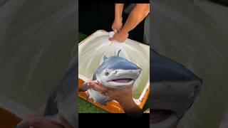 Shark Fish🦈 ke baby ki Delivery🚚 Ho gai Finally😍 | #sharkfishing #fishaquarium #animal #pets #viral