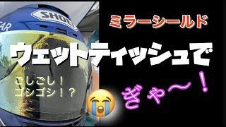 【予備知識】ミラーシールドをウエットティッシュでゴシゴシ拭いたら、ギャー !っとなったので再検証してみた【ミラーシールド】