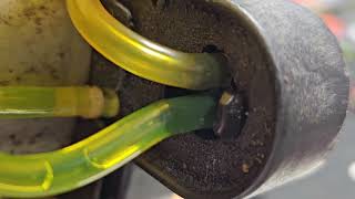 replacing bolens bl150 bl250 weedeater Carburetor with hipa replacement #hipafixeasy @hipa