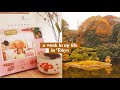 A week in my life in Tokyo | Autumn Picnic with @rainbowholicTV & @OMUNOMU Japan Snacks & Travel