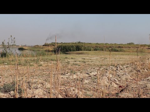 جفاف نهر الفرات وتلوثه كيف يؤثر على حياة الناس شرقي سوريا لم الشمل