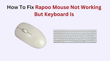 How to Fix Rapoo Mouse Not Working But Keyboard Is – Easy USB, Battery & Pairing Fix