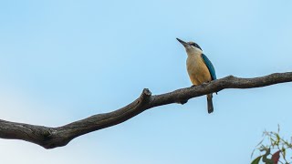 SACRED ORDINARY (APR 30)