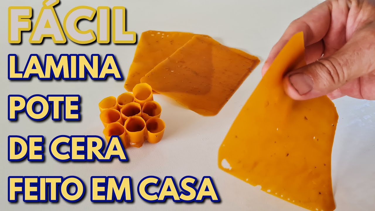 Faça isso!!! Melhora a produção de mel de abelhas nativas
