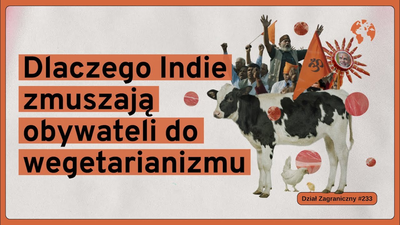 Dlaczego Indie zmuszają obywateli do wegetarianizmu (Dział Zagraniczny Podcast#233)