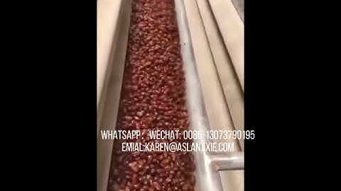 Palm dates cleaning machine