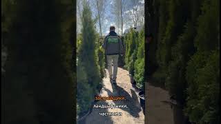 Кто мы?  #питомник #питомникхвойных #сад