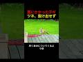 網に絡まった小狐を救出