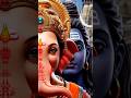 Ganpati Bappa 🕉️🌺📿🏵️🚩#ganesh #trending #status #shorts #youtubeshorts