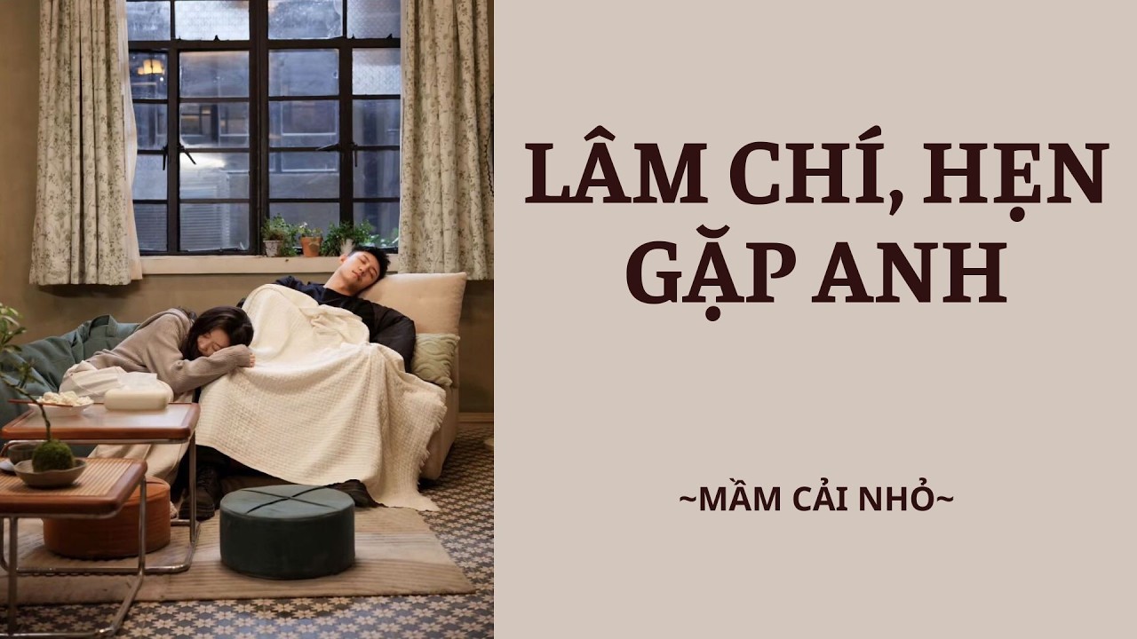 [Review Truyện] LÂM CHÍ, HẸN GẶP ANH || MẦM CẢI NHỎ, nghe truyện và móc mũ cùng Cải nhen