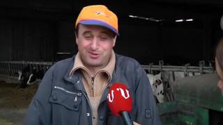 En la granja todo sigue igual